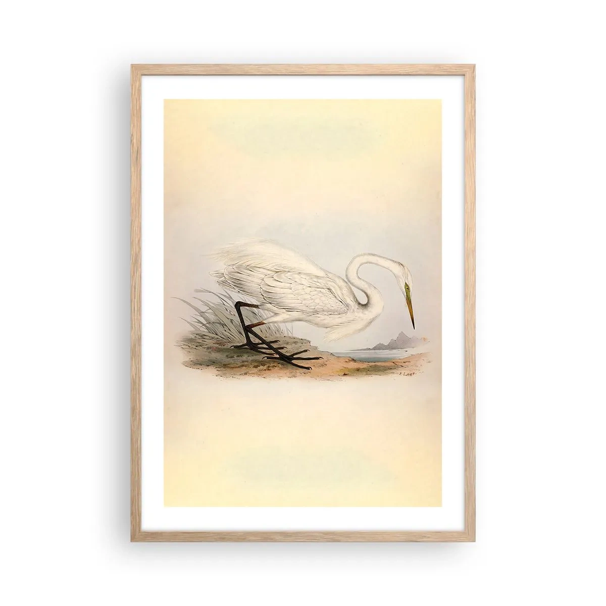 Pôster com moldura de carvalho claro - A senhora nos juncos - 50x70 cm