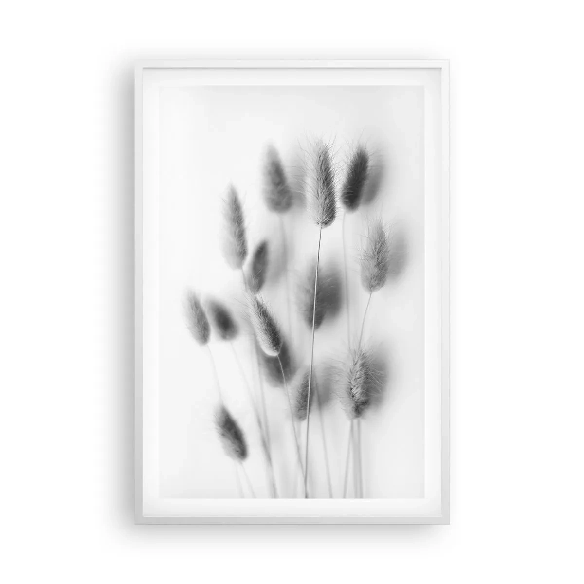 Pôster em moldura branca - Grama fofa - 61x91 cm