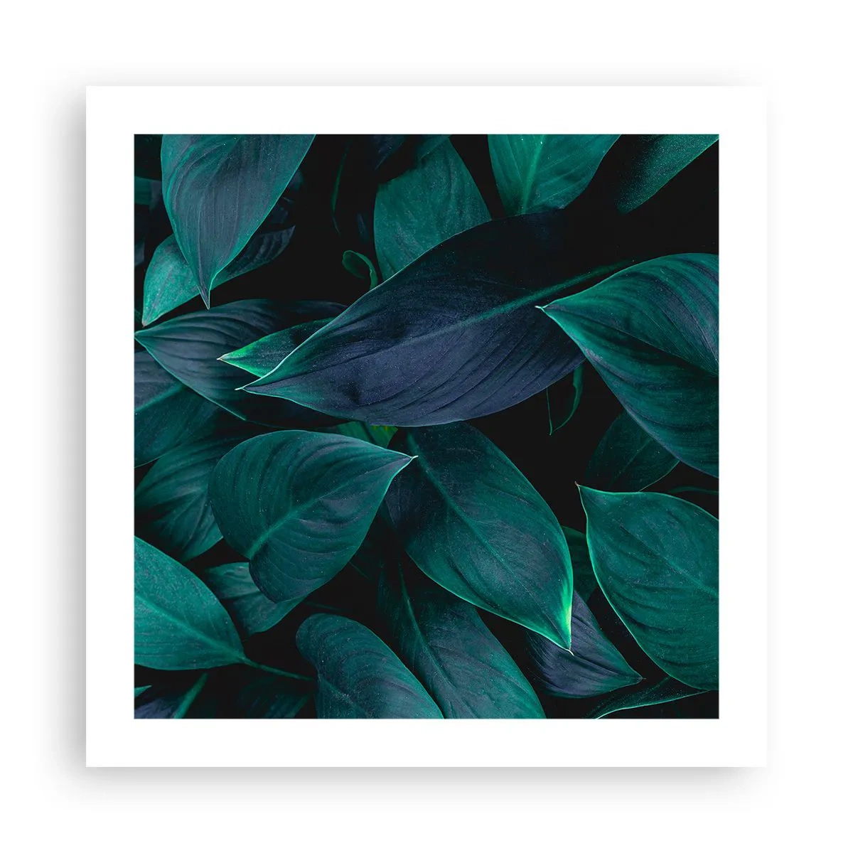 Pôster - Verde em si - 50x50 cm