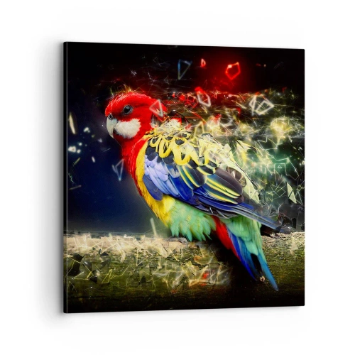 Quadro em tela - O mensageiro do Brilho - 70x70 cm