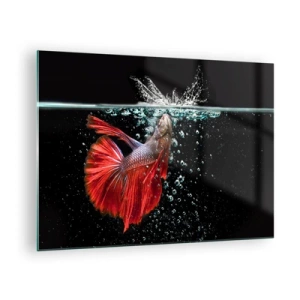 Quadro em vidro - Betta vermelho em uma composição dinâmica de água - 70x50cm - Tens três desejos - Decoração de parede moderna para a sala de estar e quarto ARTTOR