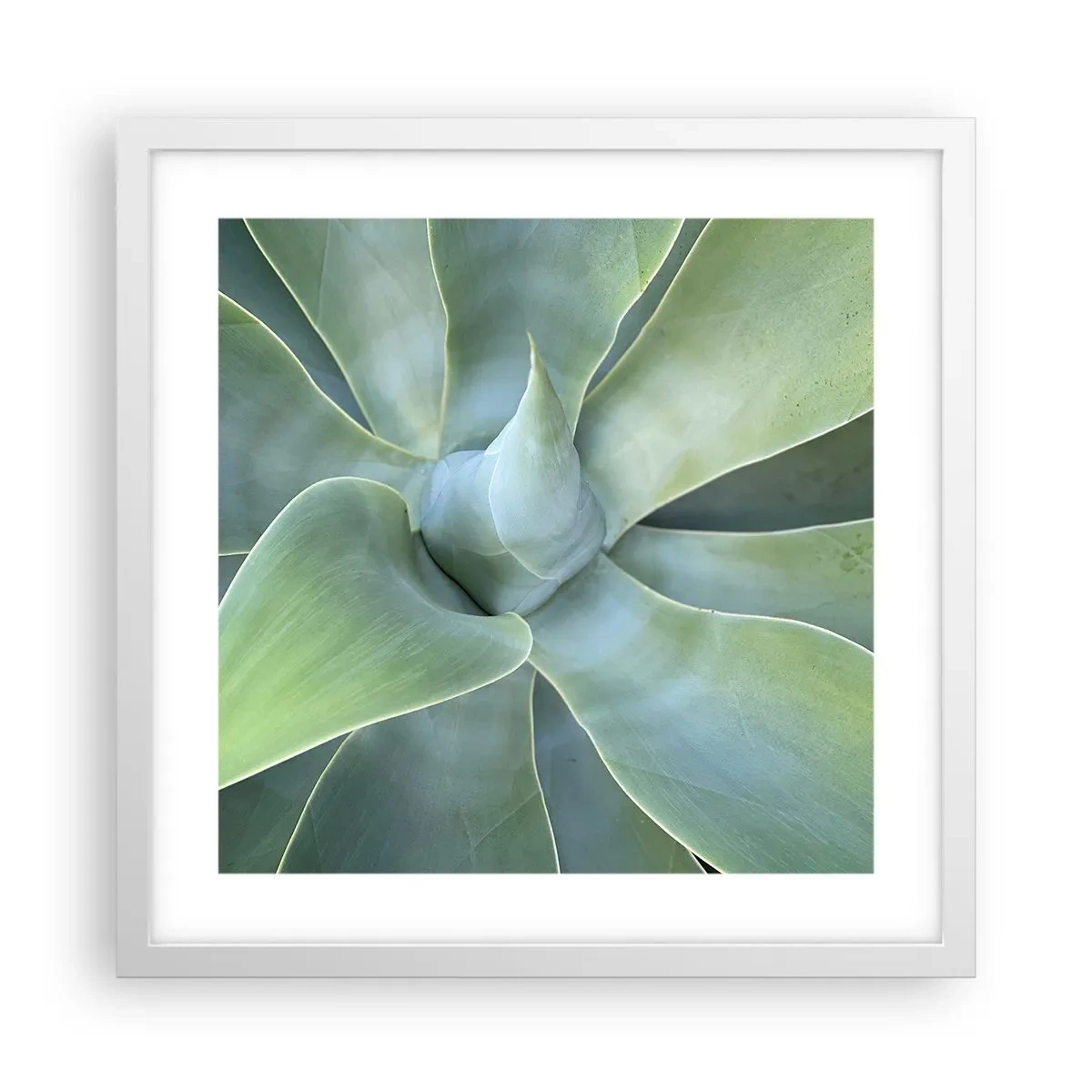 Pôster em moldura branca - O nascimento da vegetação - 40x40 cm