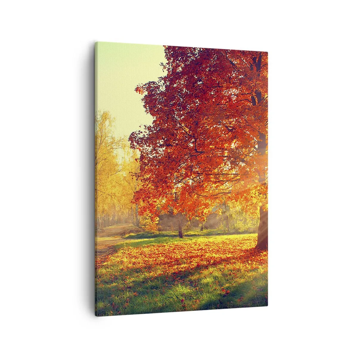 Quadro em tela - O vermelho é lindo - 50x70 cm