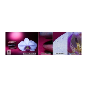 Amostra de papel de parede Premium Sand - O estudo do frescor em roxo - Flores, Spa, Pedras - 100x30 cm