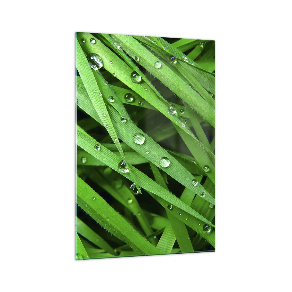 Quadro em vidro - Jogue no verde - 70x100 cm