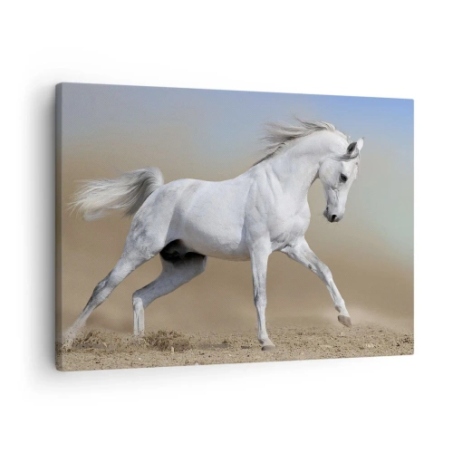 Quadro em tela - Um cavalo branco galopando por uma paisagem desértica - 70x50cm - O mais belo conto de fadas árabe - Decoração de parede moderna para a sala de estar e quarto ARTTOR