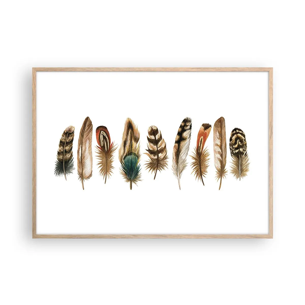 Pôster com moldura de carvalho claro - Variações de penas - 100x70 cm