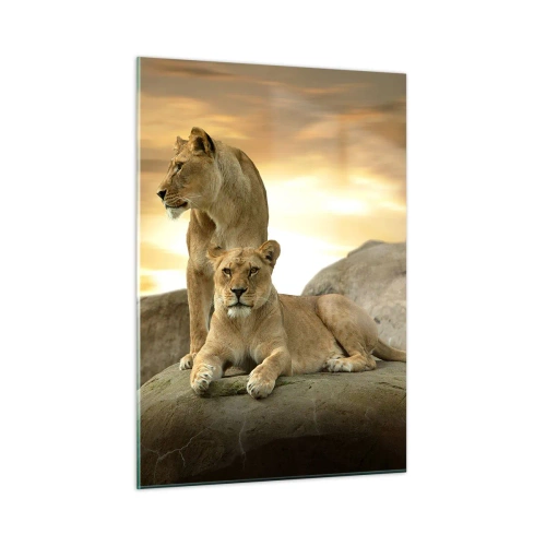 Quadro em vidro - Majestade real - 50x70 cm