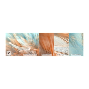 Amostra de papel de parede autocolante Deluxe Sticker - Na terra da gentileza - Delicado, Penas, Minimalismo - 100x30 cm