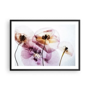 Pôster com moldura preta - A transparência das flores - 70x50 cm