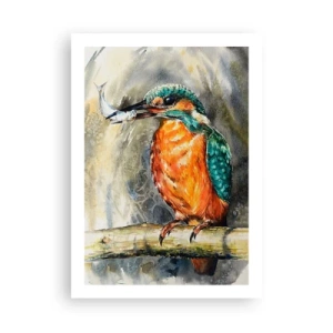 Pôster - Lei da natureza - 50x70 cm
