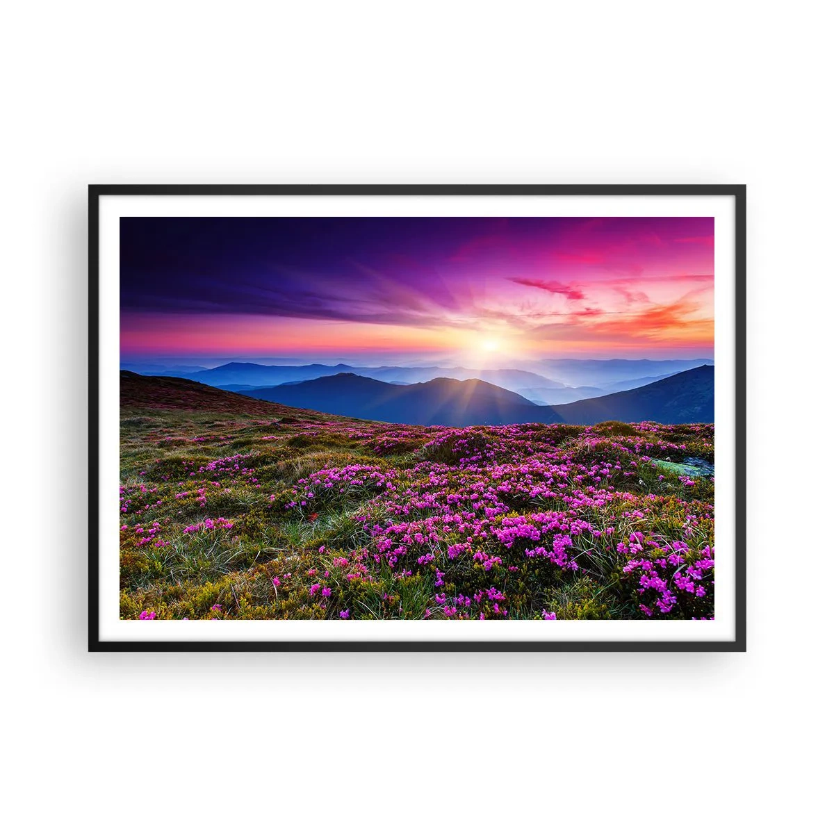 Pôster com moldura preta - Campo cheiroso - 100x70 cm