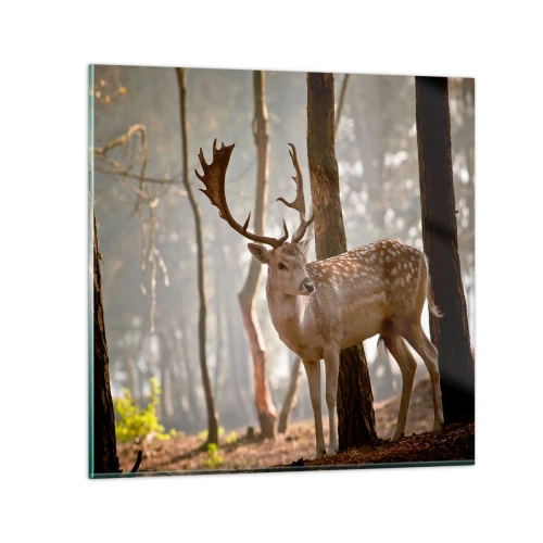 Quadro em vidro - A Luz da Juventude - 70x70 cm