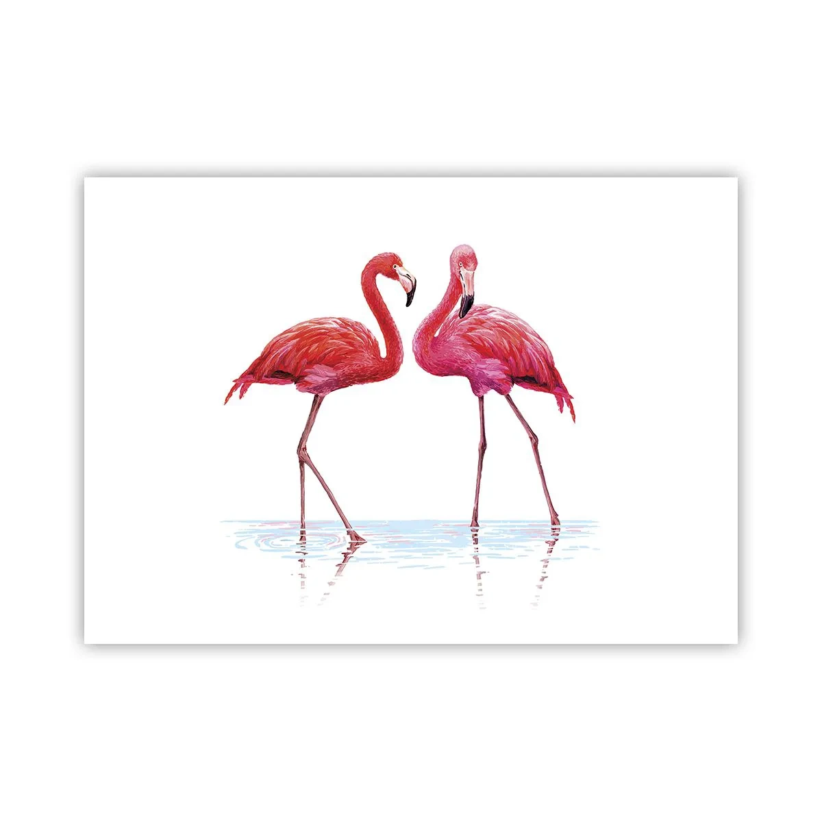 Pôster - Rosa randez-vous - 70x50 cm