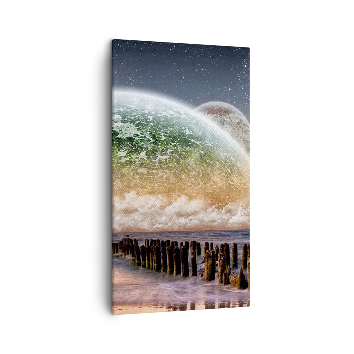 Quadro em tela - E o mundo emergiu da água - 45x80 cm