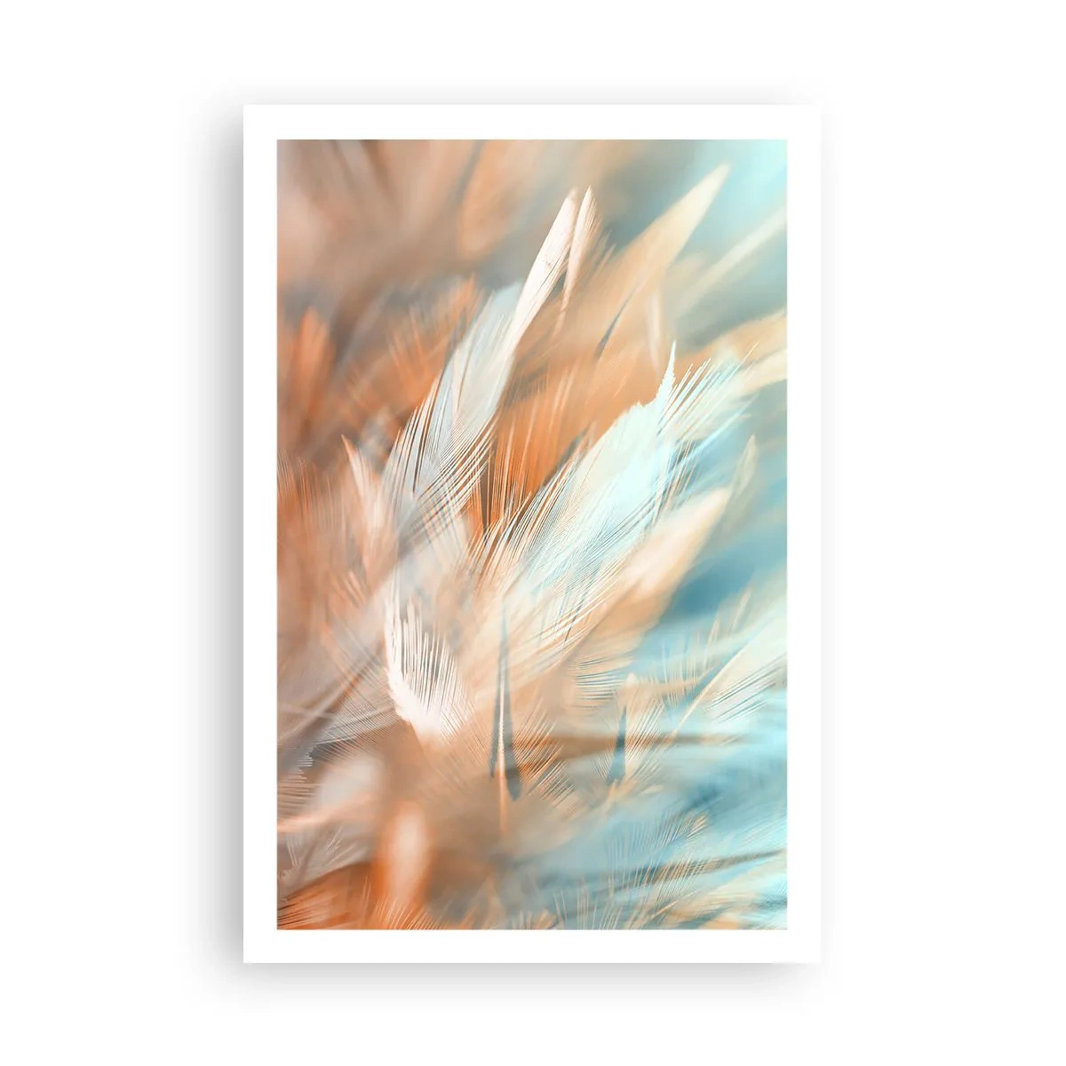 Pôster - Na terra da gentileza - 61x91 cm