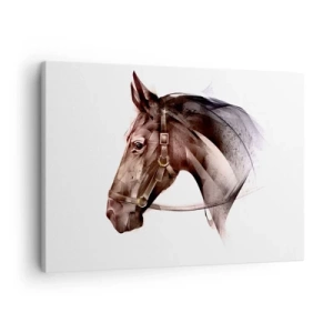 Quadro em tela - Um perfil de cavalo em uma forma artística delicada sobre um fundo branco - 70x50cm - Que charme - Decoração de parede moderna para a sala de estar e quarto ARTTOR
