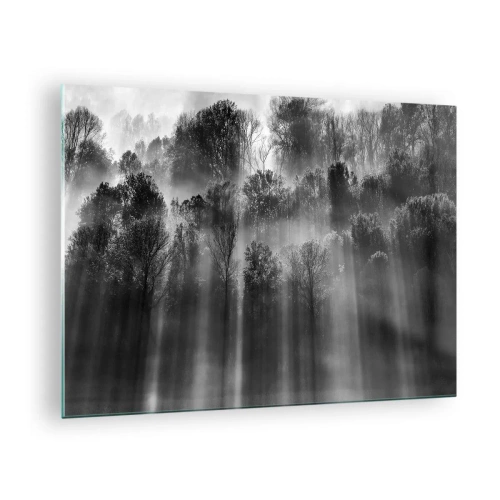 Quadro em vidro - Raios de luz pretos e brancos penetrando na floresta - 70x50cm - Em correntes de luz - Decoração de parede moderna para a sala de estar e quarto ARTTOR