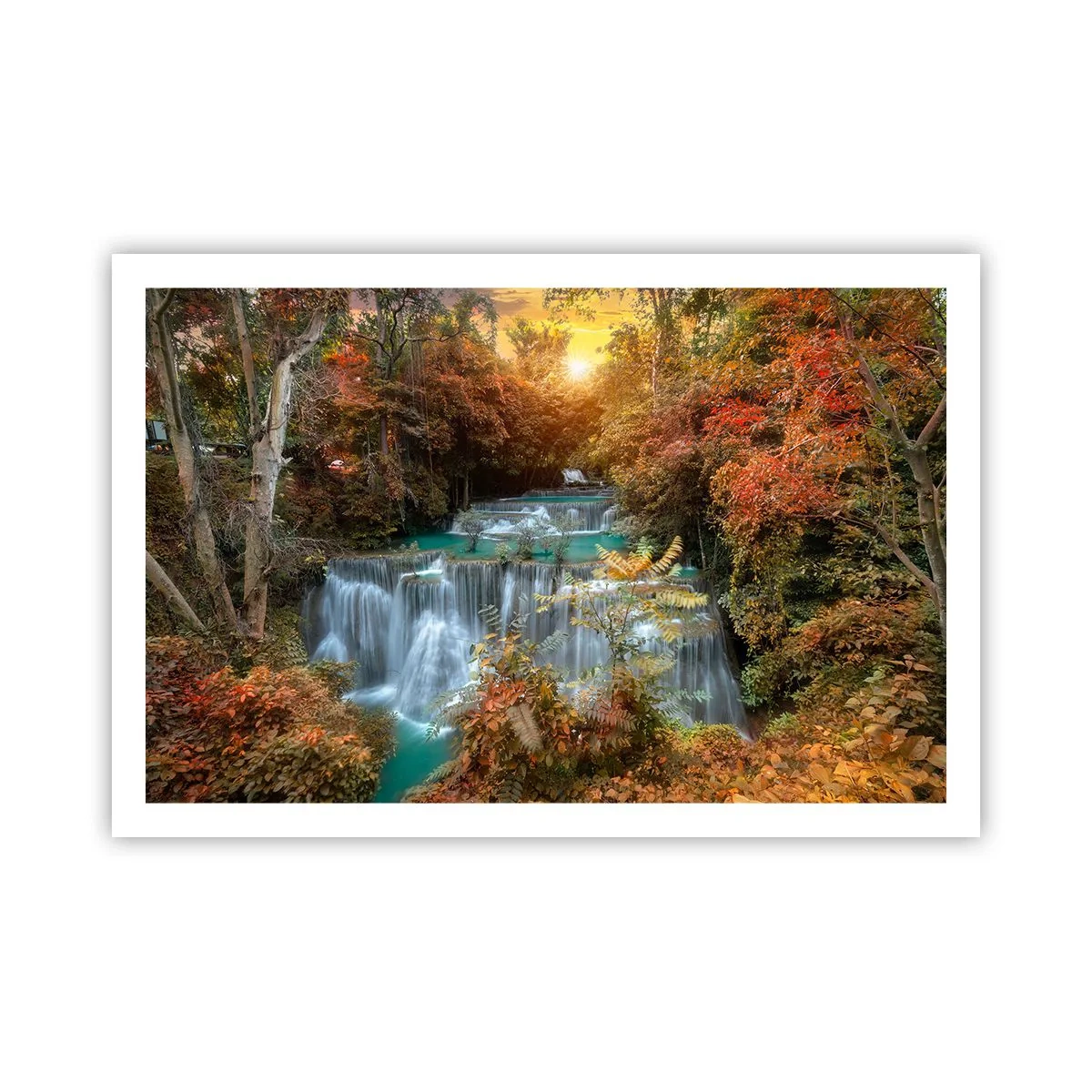 Pôster - O tesouro escondido da floresta - 91x61 cm