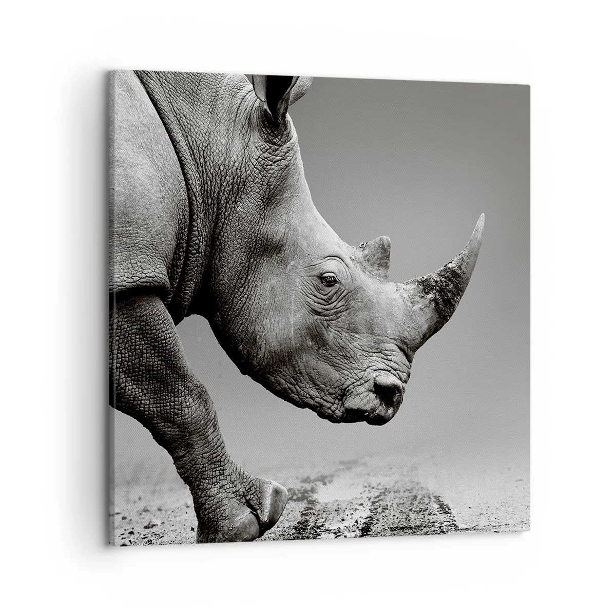 Quadro em tela - Força imparável - 50x50 cm