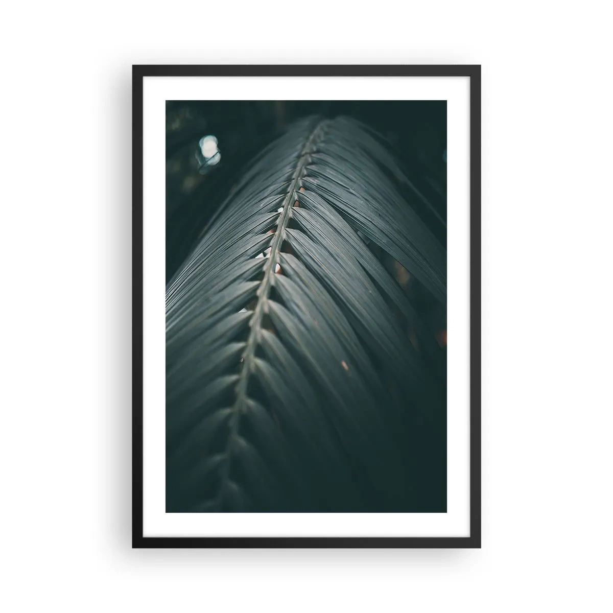 Pôster com moldura preta - Uma folha de palmeira em tom escuro com iluminação suave - 50x70cm - A precisão da natureza - Decoração de parede moderna para a sala de estar e quarto ARTTOR