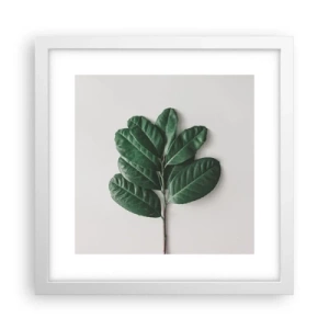 Pôster em moldura branca - Desenho da própria natureza - 30x30 cm