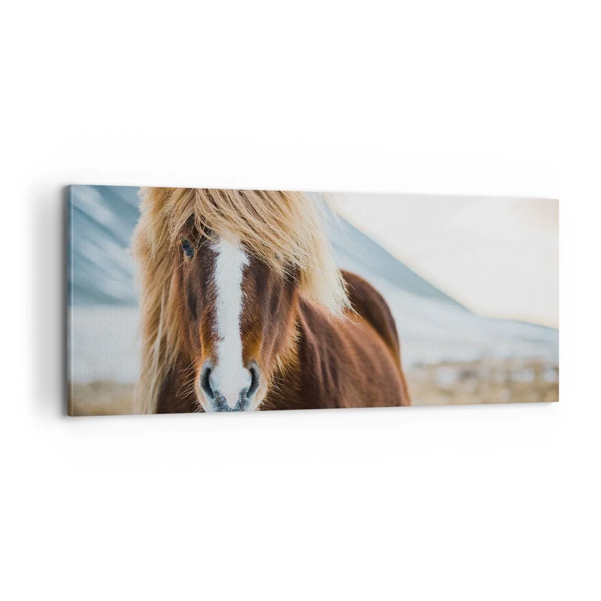 Quadro em tela - Sentes a liberdade? - 100x40 cm