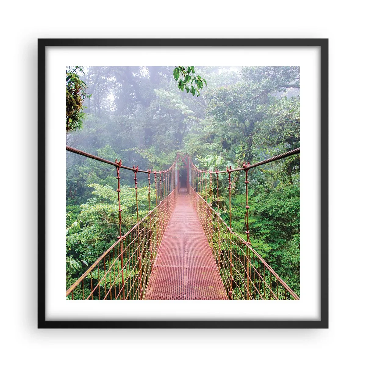 Pôster com moldura preta - Suspenso acima das copas - 50x50 cm