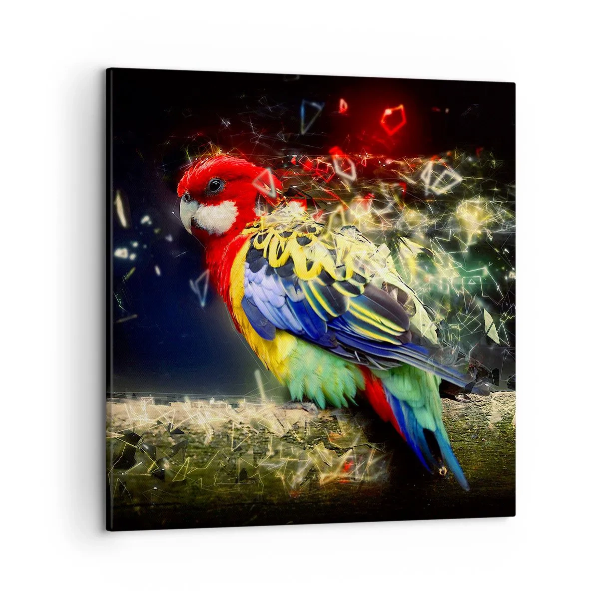 Quadro em tela - O mensageiro do Brilho - 50x50 cm