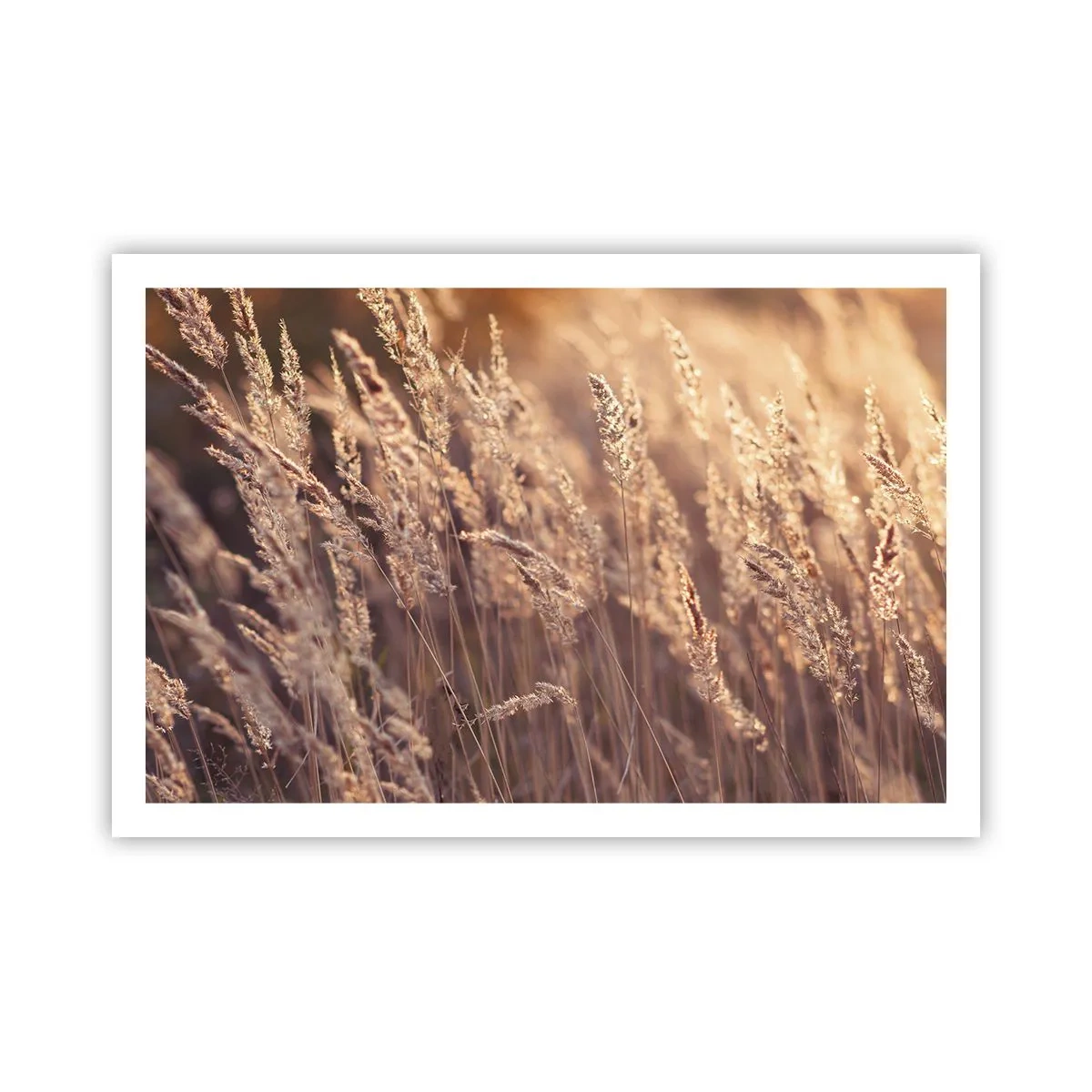 Pôster - Pronto para receber o outono - 91x61 cm