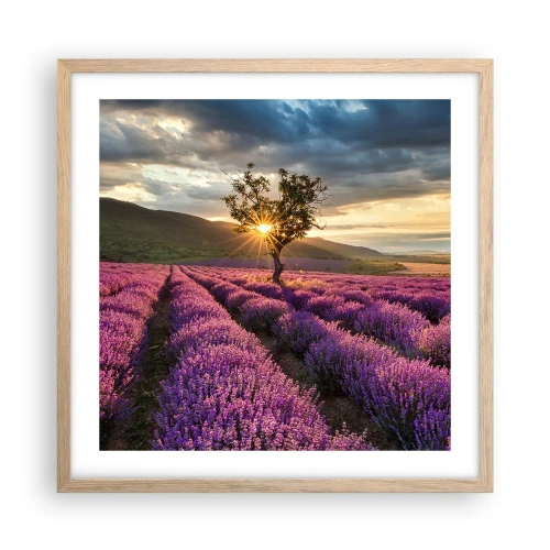 Pôster com moldura de carvalho claro - Aroma lilás - 50x50 cm