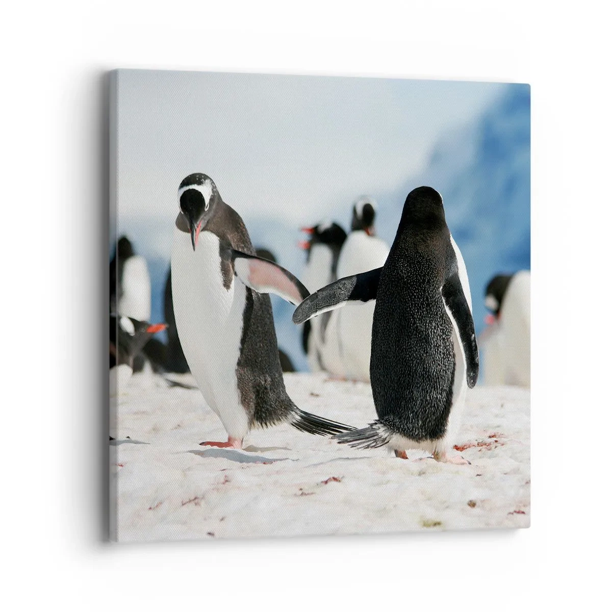 Quadro em tela - Dança na neve - 40x40 cm