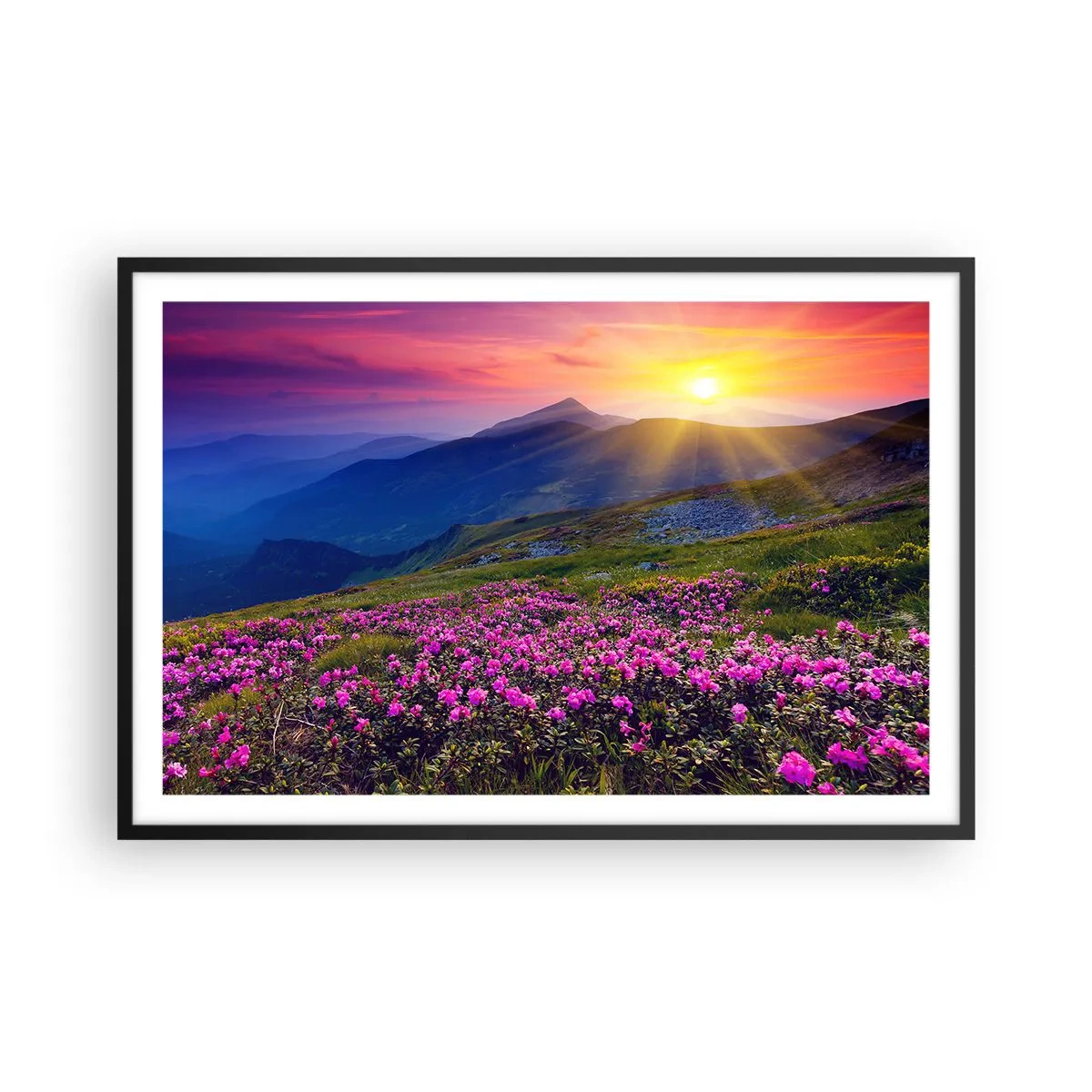 Pôster com moldura preta - …Cheiro de pinheiros e ervas da montanha - 91x61 cm