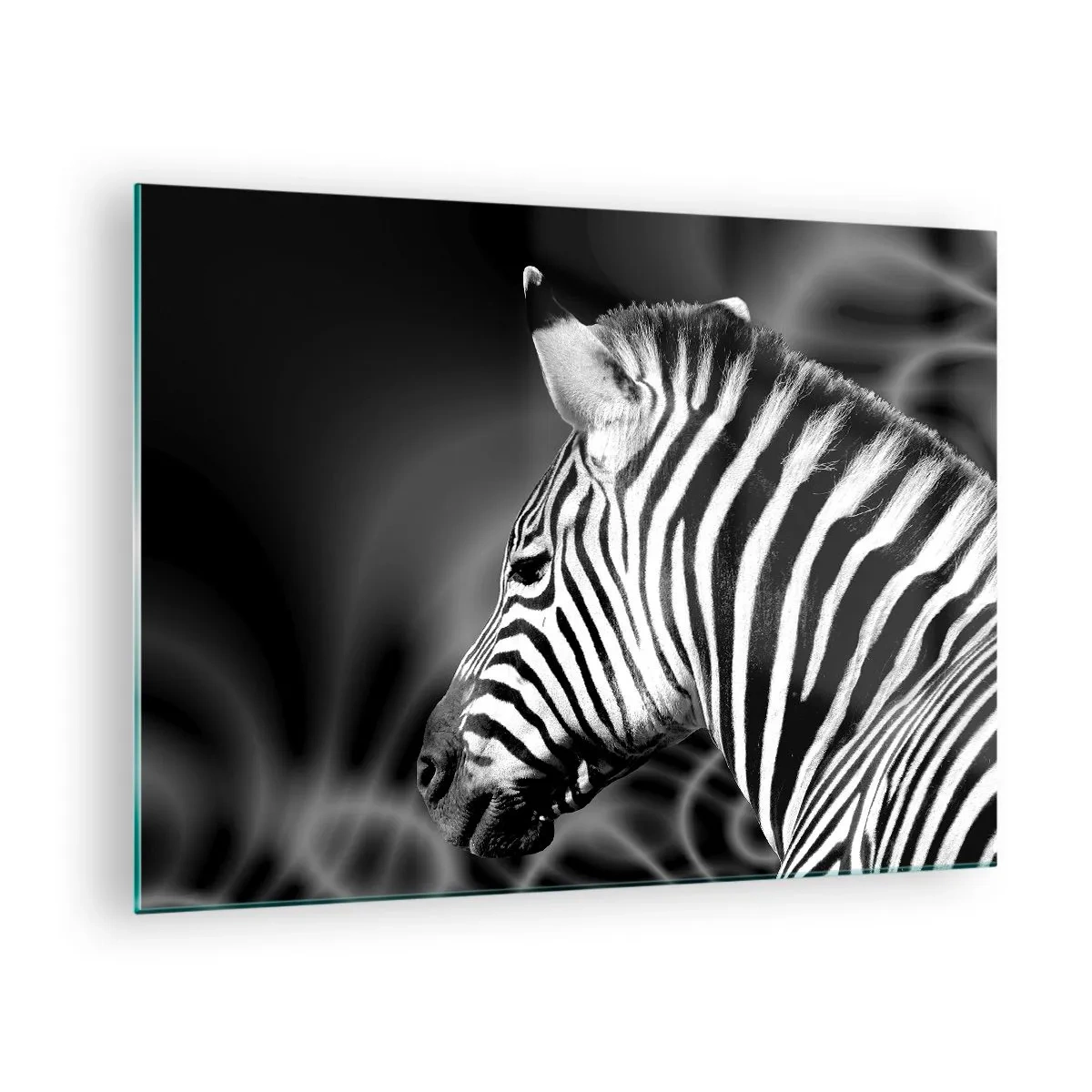 Quadro em vidro - Zebra em estética preto e branco - 70x50cm - O branco é branco e o preto é preto - Decoração de parede moderna para a sala de estar e quarto ARTTOR