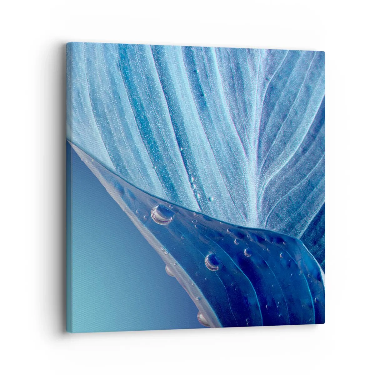 Quadro em tela - Gotas escondidas no azul - 30x30 cm