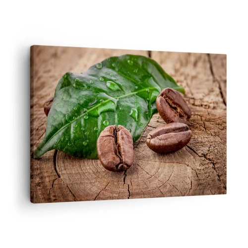 Quadro em tela - Grãos de café e folhas verdes em um fundo de madeira - 70x50cm - Preto e verdadeiro - Decoração de parede moderna para a sala de estar e quarto ARTTOR
