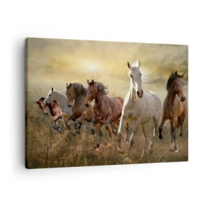 Quadro em tela - Um grupo de cavalos galopando contra o pôr do sol - 70x50cm - Viva a liberdade! - Decoração de parede moderna para a sala de estar e quarto ARTTOR