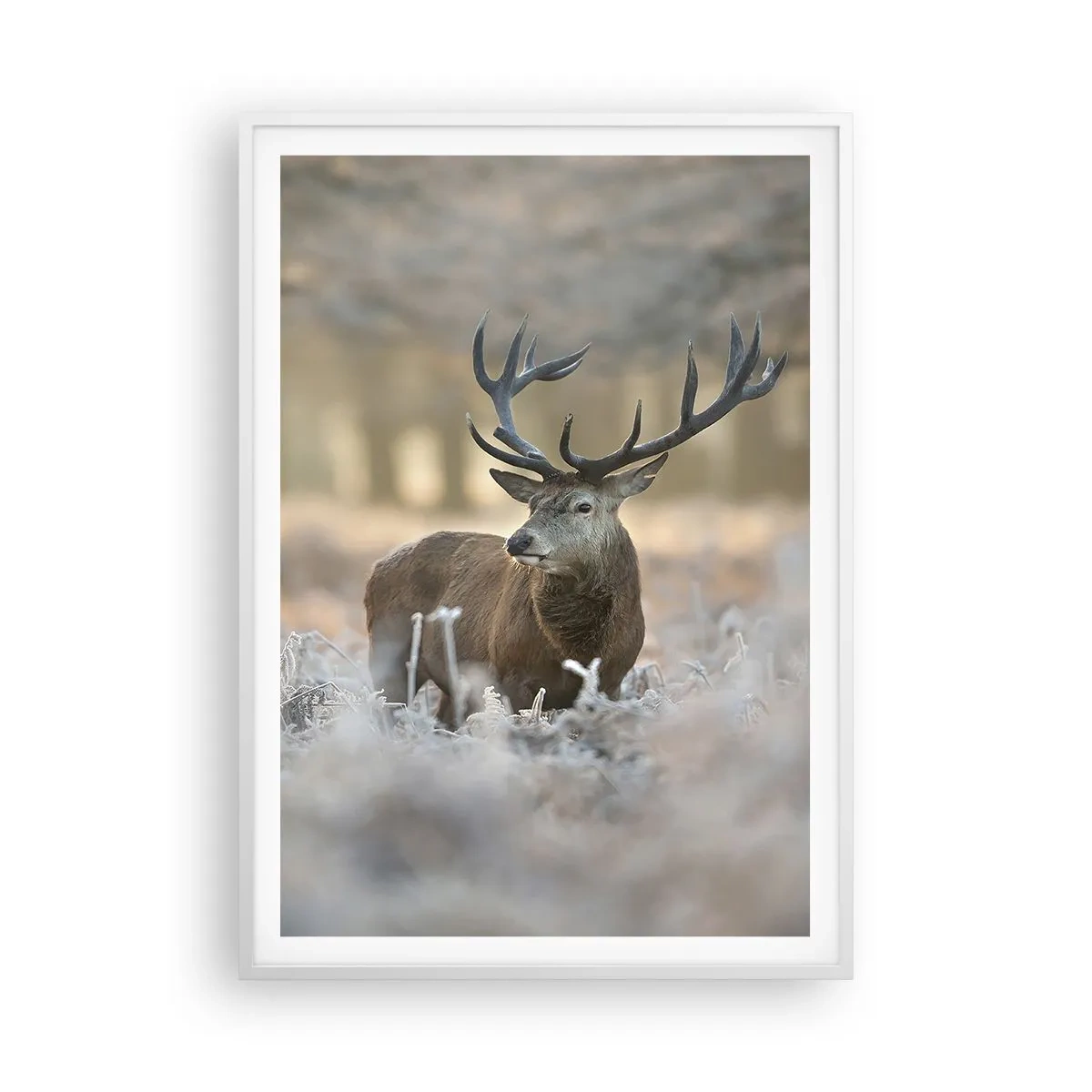 Pôster em moldura branca - Uma manhã fresca - 70x100 cm