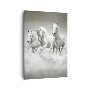 Quadro em tela - Loucura branca - 50x70 cm