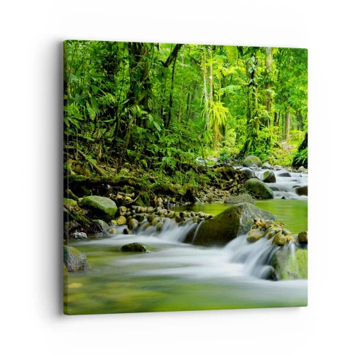 Quadro em tela - Navegar no mar de vegetação - 40x40 cm