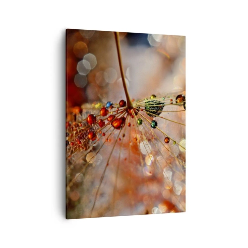Quadro em tela - Enroscado numa teia de aranha - 50x70 cm