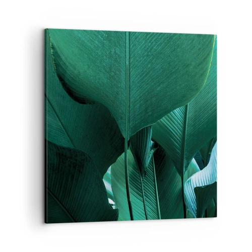 Quadro em tela - De frente para a luz - 50x50 cm