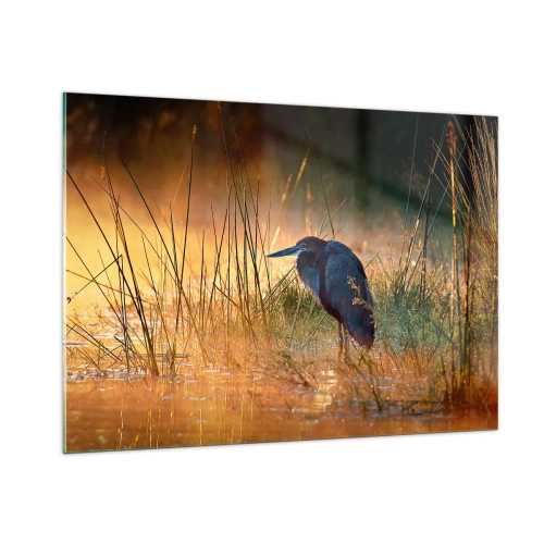 Quadro em vidro - Já chega de fotos - 100x70 cm