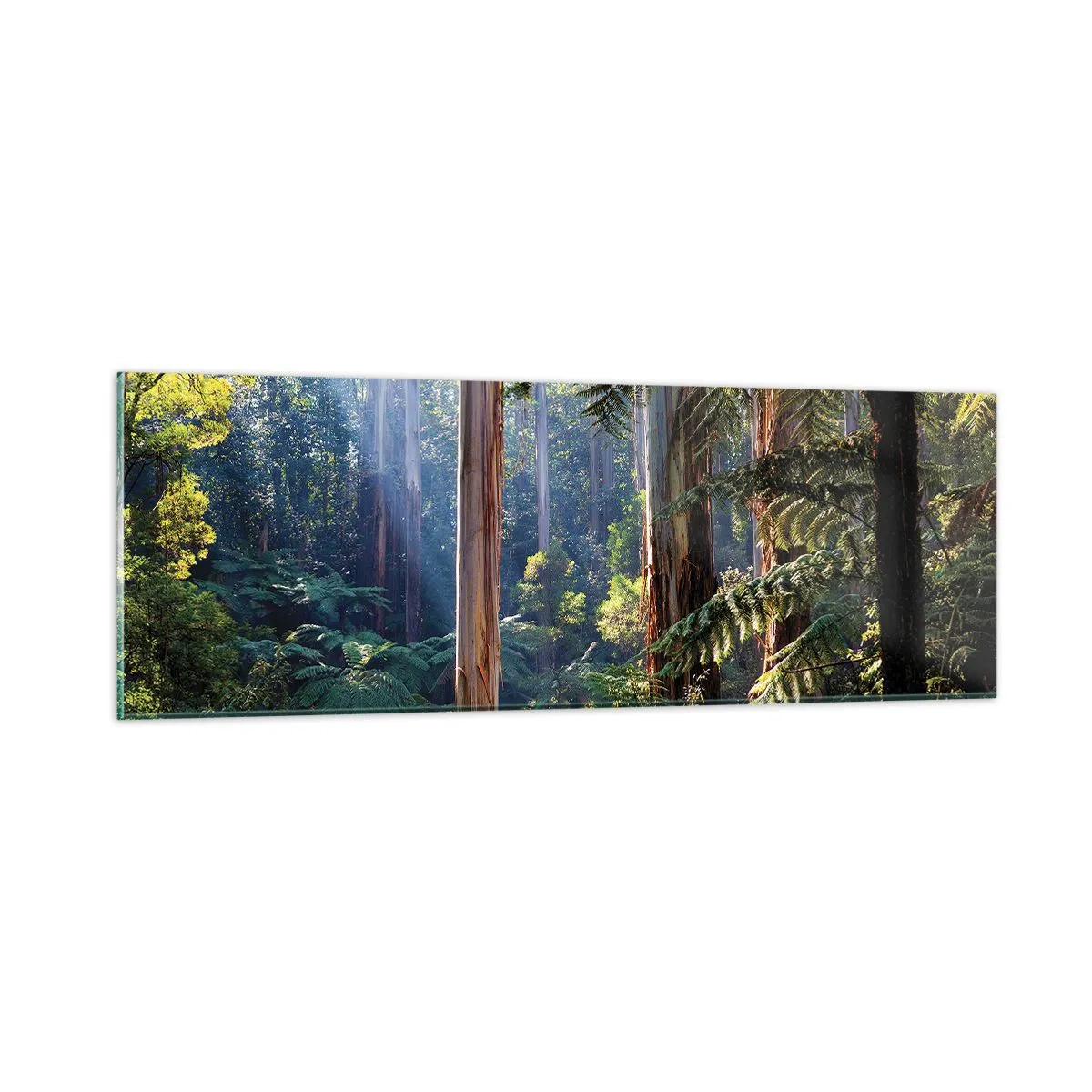 Quadro em vidro - Um conto de fadas da floresta - 90x30 cm