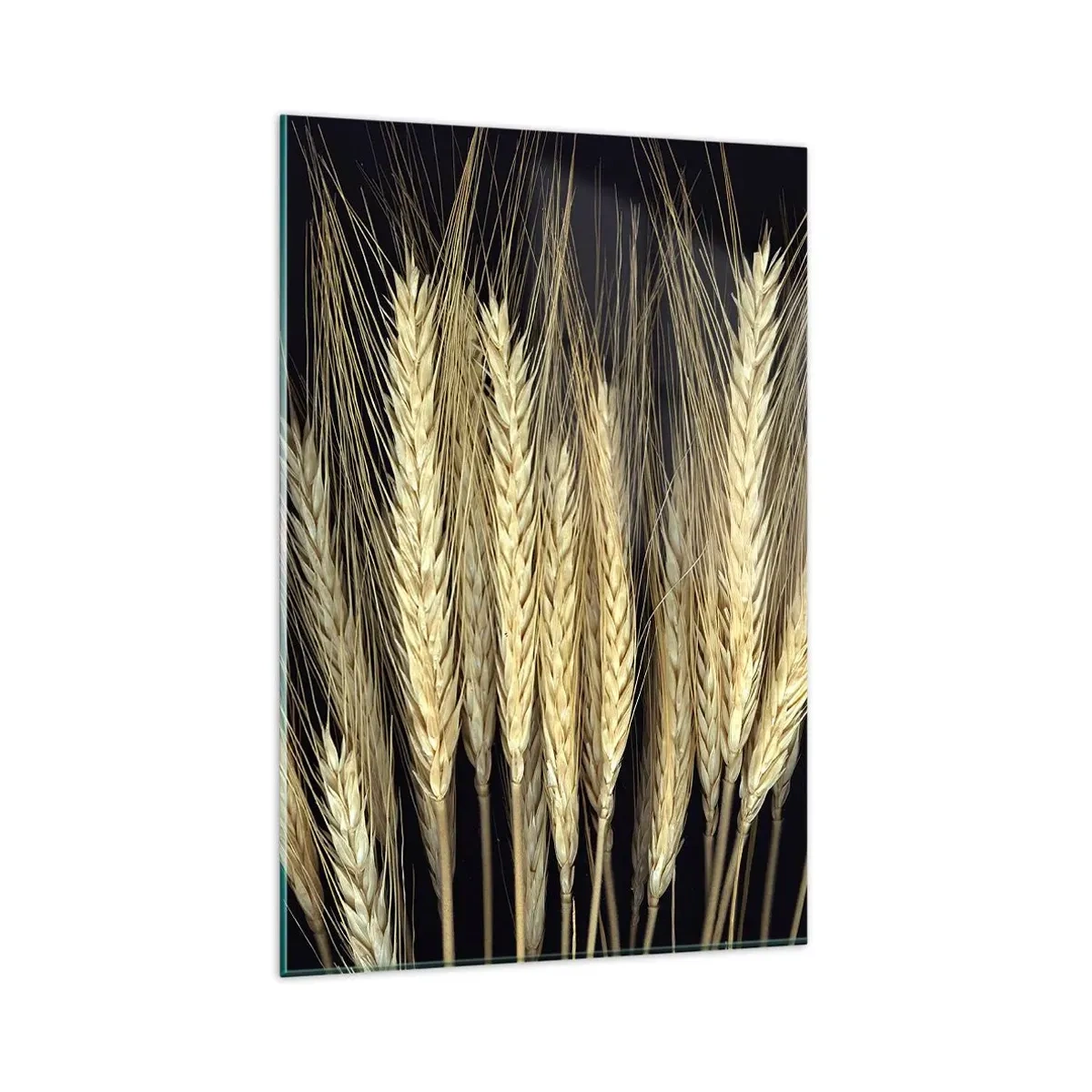 Quadro em vidro - Magia rústica - 80x120 cm