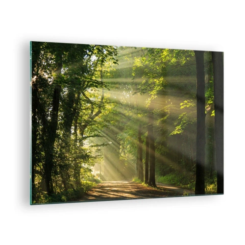 Quadro em vidro - Um caminho na floresta iluminado pelos raios do sol - 70x50cm - Momento florestal - Decoração de parede moderna para a sala de estar e quarto ARTTOR