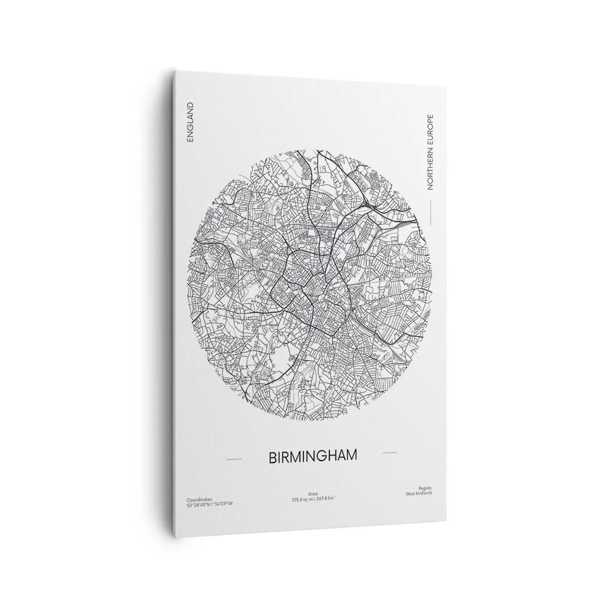 Quadro em tela - Anatomia de Birmingham - 80x120 cm