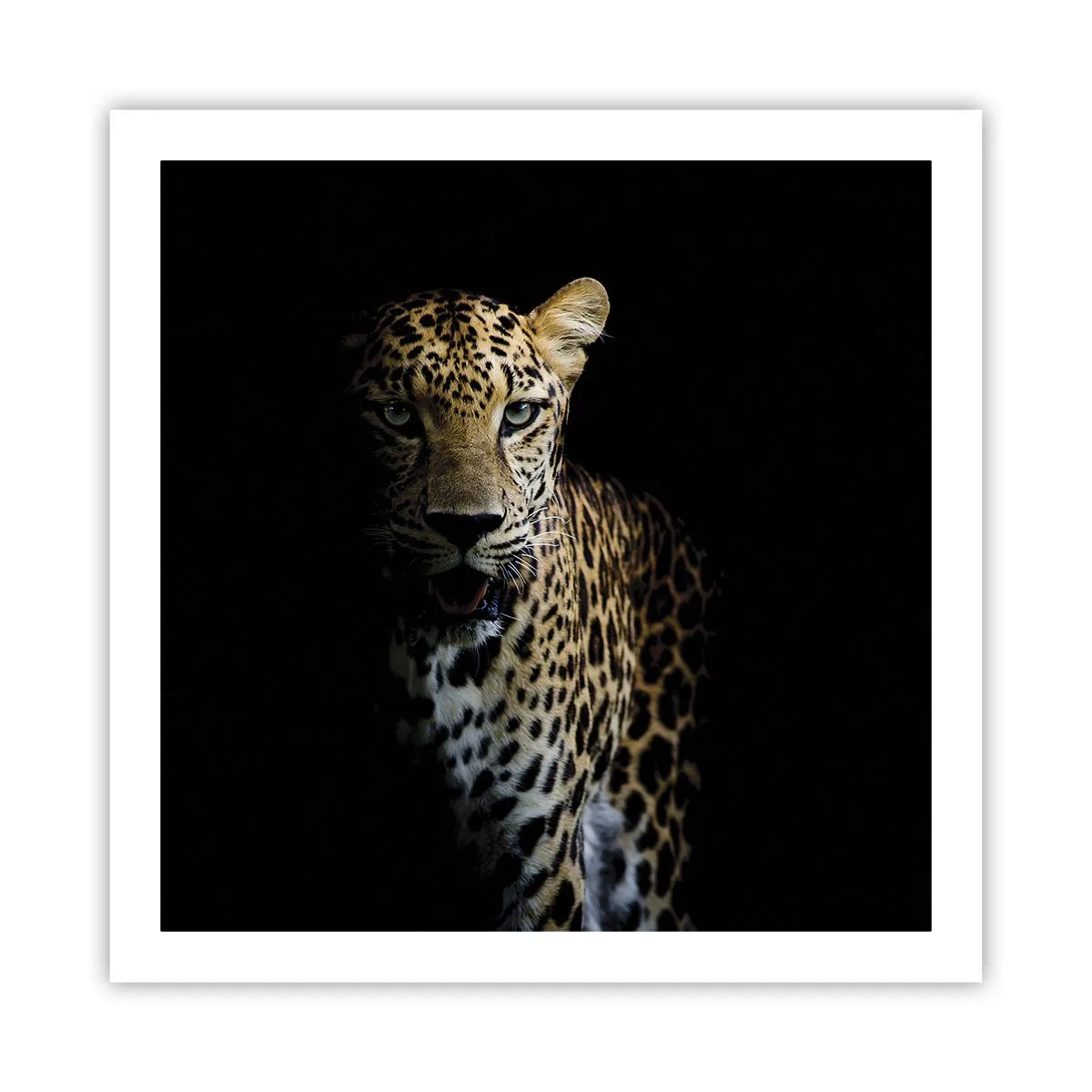 Pôster - Beleza escura - 60x60 cm