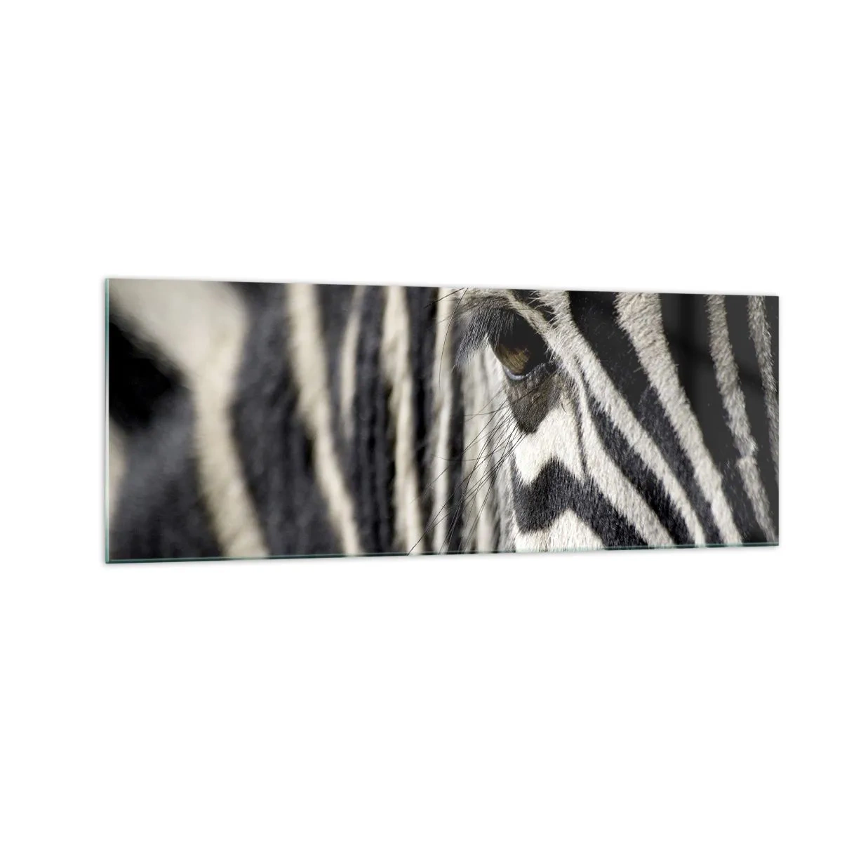 Quadro em vidro - Retrato em listras - 140x50 cm