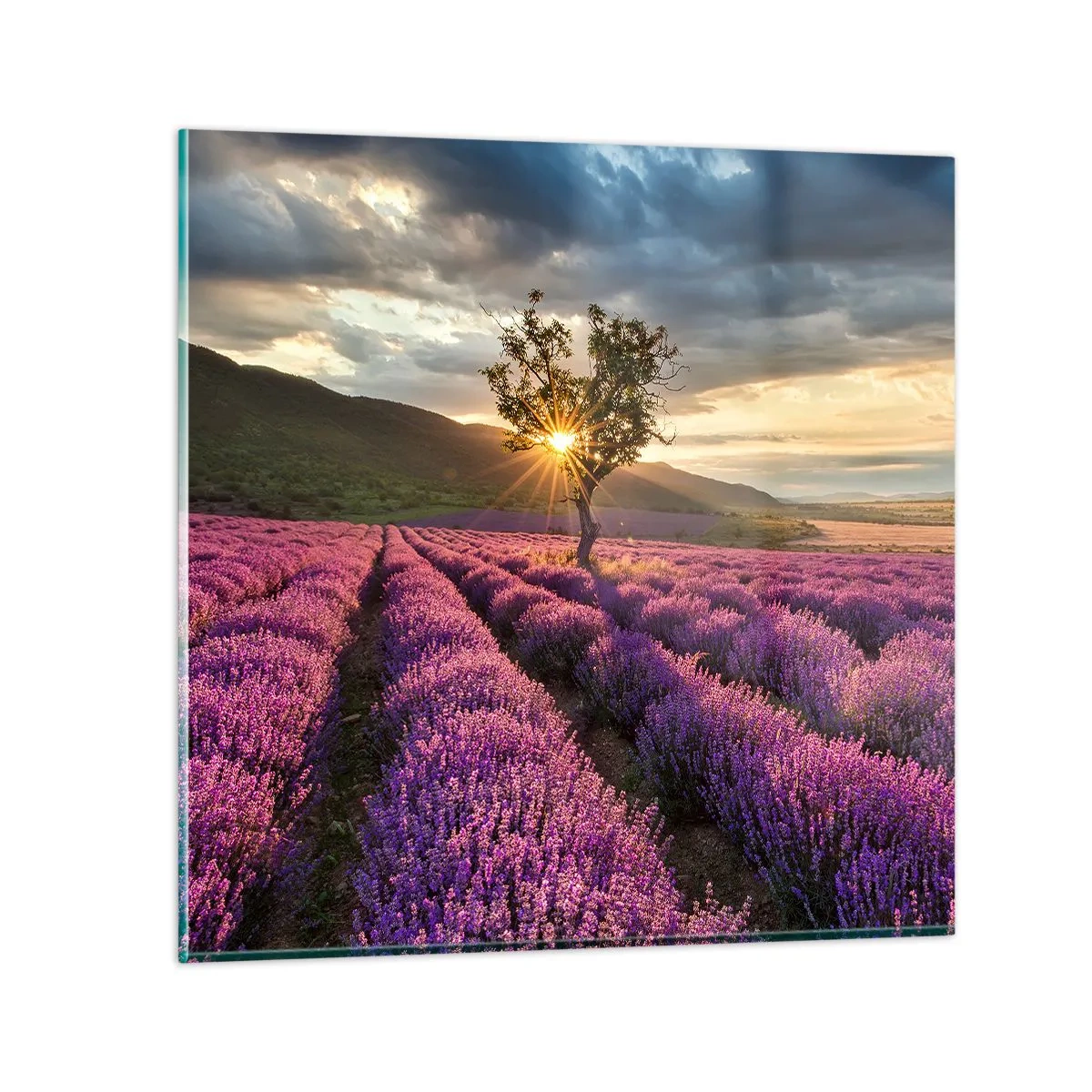 Quadro em vidro - Aroma lilás - 30x30 cm